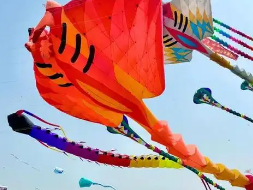 潍坊风筝节“显眼包”云集