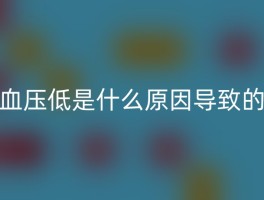 血压低是什么原因导致的