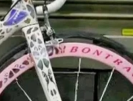 崔克蝴蝶自行车多少钱？全球最贵单车解析