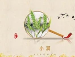 小满节气如何养生保健与防治疾病？江西组织专家解答