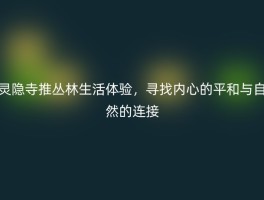 灵隐寺推丛林生活体验，寻找内心的平和与自然的连接