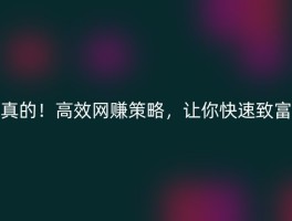 真的！高效网赚策略，让你快速致富