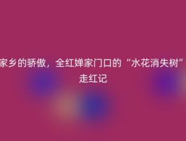 家乡的骄傲，全红婵家门口的“水花消失树”走红记