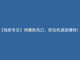 【独家专访】网赚新风口，抓住机遇就赚钱！