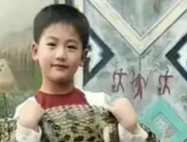 张凌赫不愧是从小抱鳄鱼的男人：童年“勇举”成娱乐圈独特标签