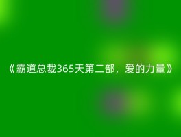 《霸道总裁365天第二部，爱的力量》